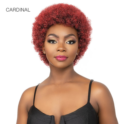 Janet Collection Natural Curly Synthetic Hair Wig - AFRO CADY