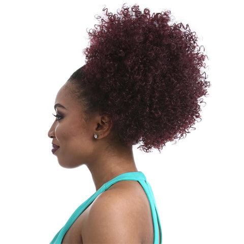 Sensationnel Synthetic Ponytail Instant Pony - NATURAL AFRO 10