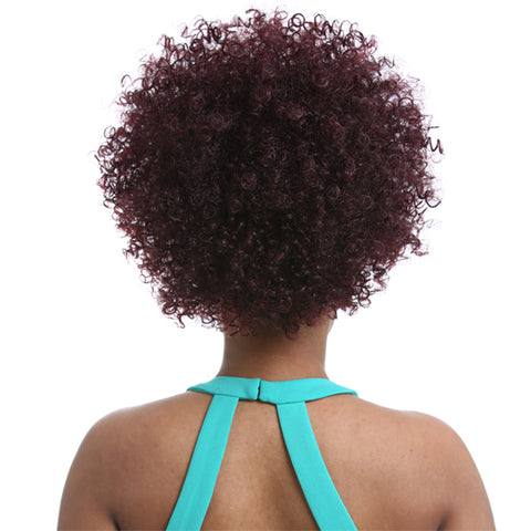 Sensationnel Synthetic Ponytail Instant Pony - NATURAL AFRO 10