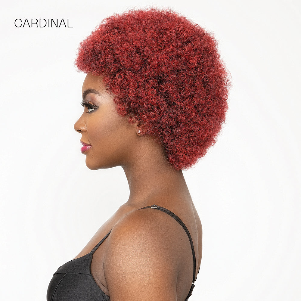 Janet Collection Natural Curly Synthetic Hair Wig - AFRO CADY