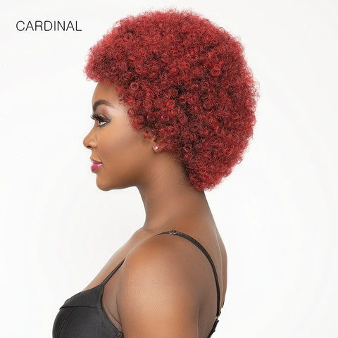 Janet Collection Natural Curly Synthetic Hair Wig - AFRO CADY