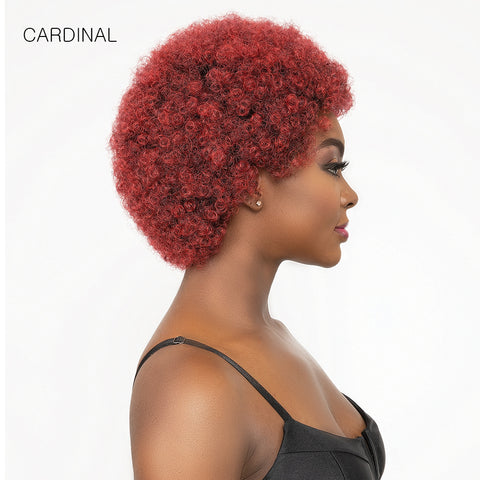 Janet Collection Natural Curly Synthetic Hair Wig - AFRO CADY