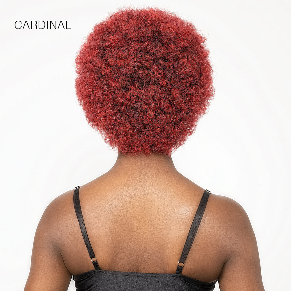 Janet Collection Natural Curly Synthetic Hair Wig - AFRO CADY