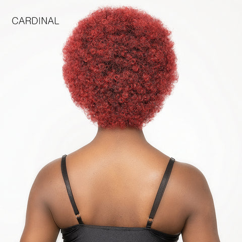 Janet Collection Natural Curly Synthetic Hair Wig - AFRO CADY