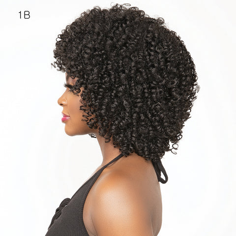 Janet Collection Natural Curly Synthetic Hair Wig - AFRO GLYN
